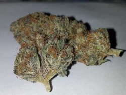 Afghan Kush – Indica | Marijuana Strains for sale