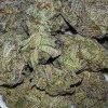 Buy Blackberry Kush Online Europe | Buy Weed Online Europe