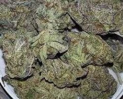 Buy Blackberry Kush Online Europe | Buy Weed Online Europe