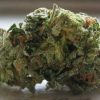 Blue Dream – Hybrid | Buy Marijuana online | Buy Weed