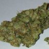 Chemdawg – Hybrid | Buy Marijuana Online | Buy Weed