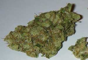 Chemdawg – Hybrid | Buy Marijuana Online | Buy Weed