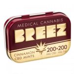 Cinnamon CBD Mints: 200mg CBD + 200mg THC