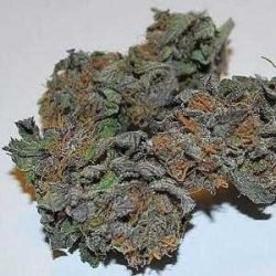 Buy Death Star Online Europe | Buy Marijuana Online Europe