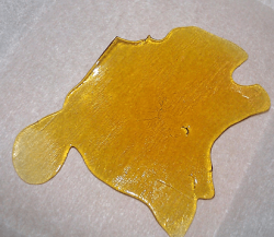 Girl Scout Cookies Shatter | Buy Concentrates online | Buy Extracts