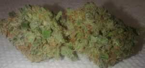 Maui Wowie – Sativa | Buy Marijuana Online | Buy Weed