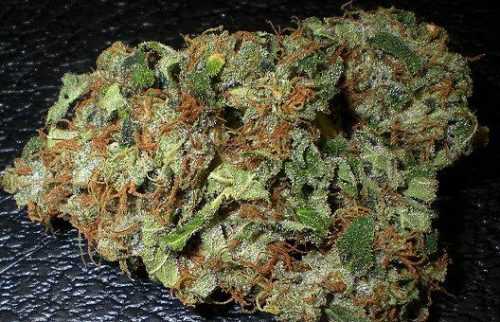 Skywalker – Indica | Buy Marijuana Online | Buy Weed