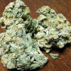 Trainwreck – Hybrid | Marijuana Strains for sale