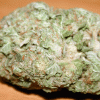 Buy White Rhino Online Europe | Buy Weed Online Europe