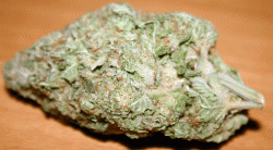 Buy White Rhino Online Europe | Buy Weed Online Europe