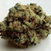 CBD Mango Haze is used for treating patients suffering from inflammation, muscle spasms, Multiple Sclerosis, and chronic pain. CBD Mango strain Europe