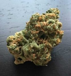 Recommended for afternoon, evening, and nighttime use Sensi Star may be used to reduce stress, the sleepless nights of insomnia, anxiety, and depression. Europe