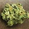 ACDC strain is much different than most cannabis strains due to its extremely low THC level and its extremely high CBD level.