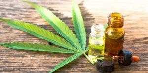 Buy CBD oil in bulk at Entirecannabis.cc