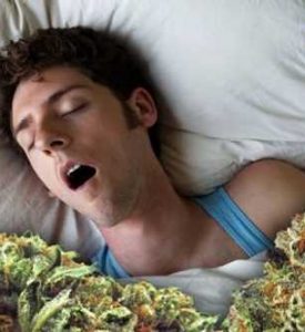 10 Things to Know About Cannabis and Sleep