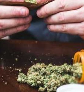 Study shows everyone is using Marijuana medically these days.