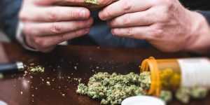 Read more about the article Study shows everyone is using Marijuana medically these days.