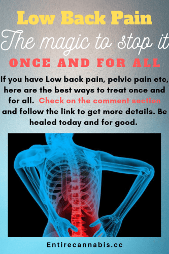 You are currently viewing Low back pain