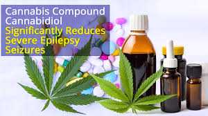 CBD medication and other AEDs are similarly effective in patients with Lennox-Gastaut syndrome and Dravet syndrome, which are treatment-resistant forms of epilepsy.