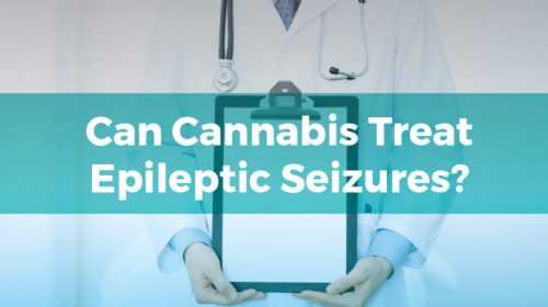 marijuana as an anti-seizure was revealed