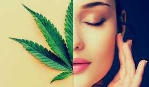 Buy Cannabis Online Europe, THC, CBD Oil, Edibles