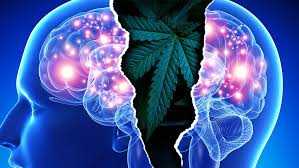 Read more about the article Cannabidiol as an Adjunctive Treatment for Schizophrenia