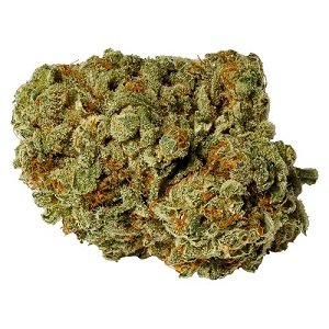 Buy Indica Online Netherlands