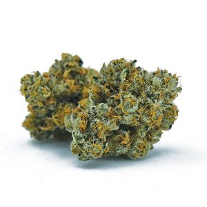 Buy Sativa strain online Netherlands