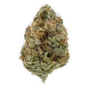 Buy weed sativa in Belgium, buy weed in Europe