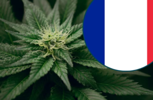 Read more about the article Cannabis laws in France and legislation