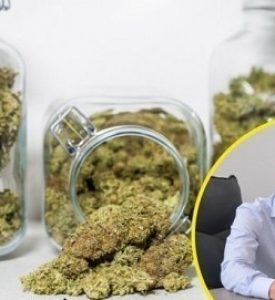 Weed is legal in Malta, but why is doctor arrested?