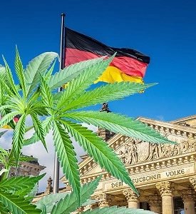 Germany’s Top Health Official Defends Marijuana Legalization Bill Against Critics Ahead Of Next Week’s Vote