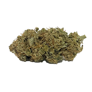 Ghost Train Haze strain for sale