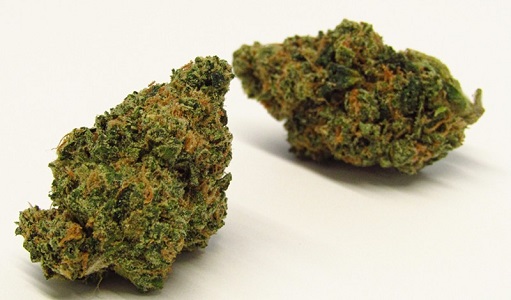 Grapefruit marijuana strain for sale,