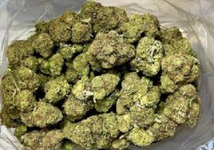 Buy Gorilla Glue #4 strain online Europe